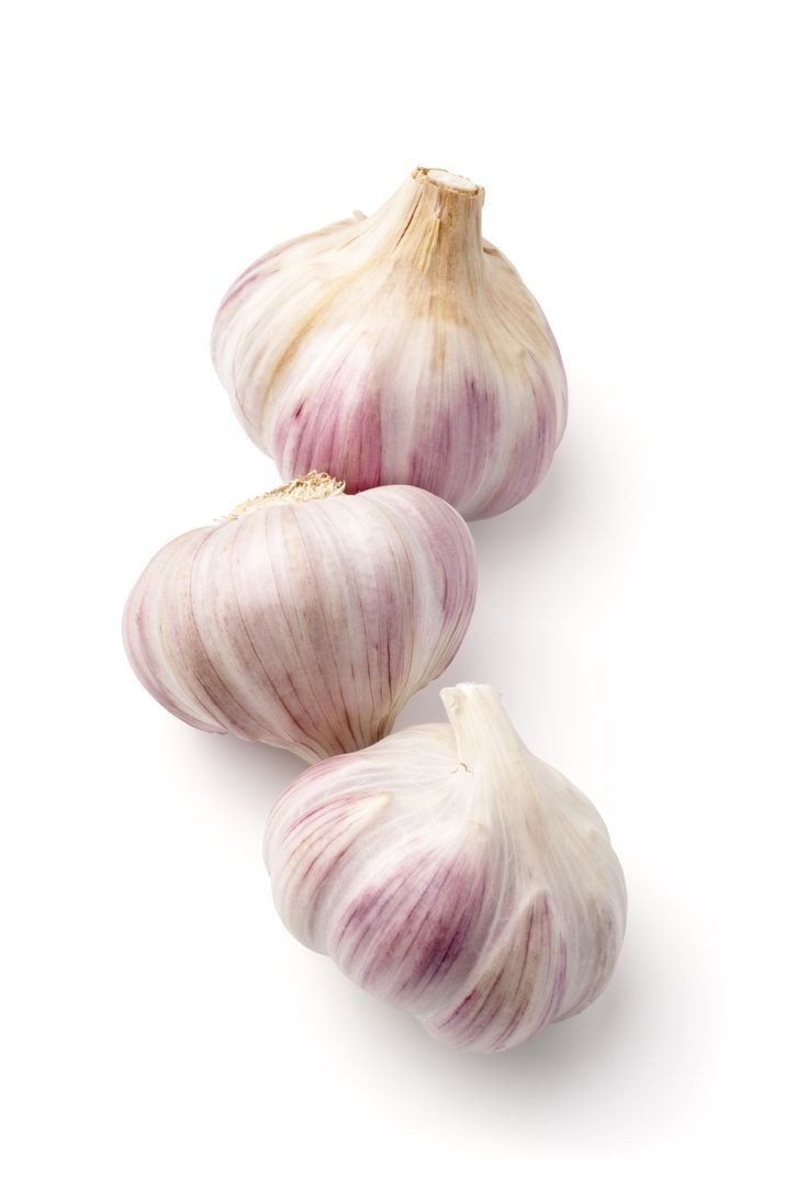 Garlic 5pcs