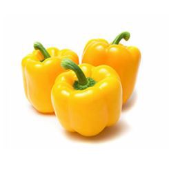 Capsicum yellow 500g