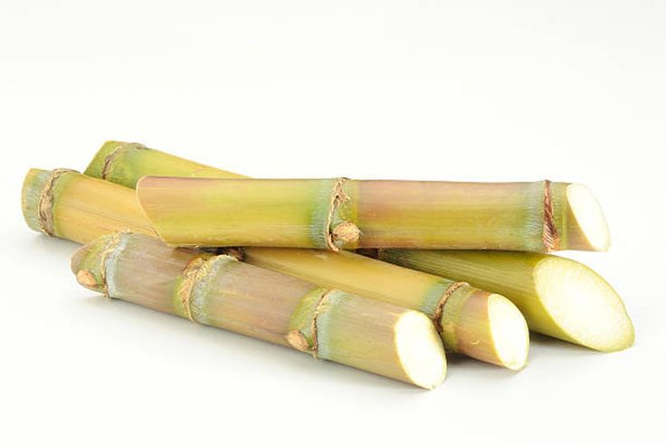 Sugarcane chopped