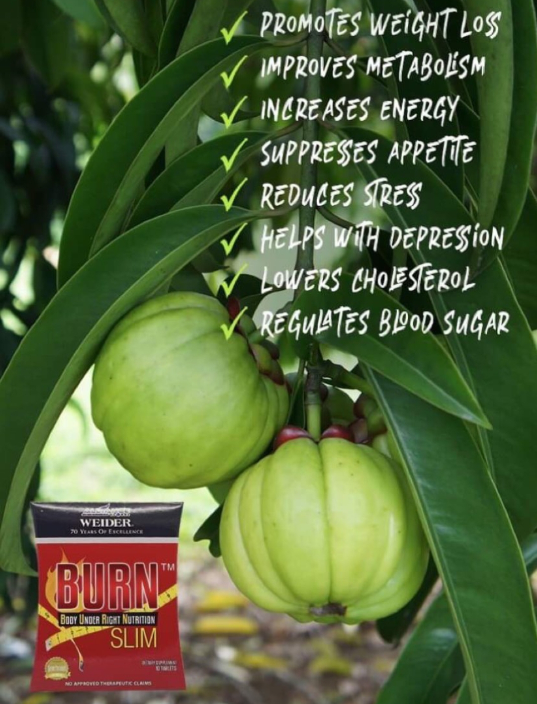 Burn Slim Tablets image 4